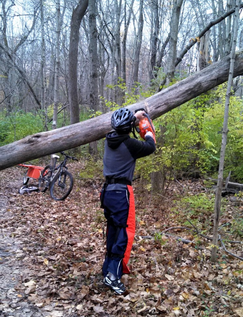 An old, dead tree had fallen across the trail during a recent windstorm. Just so happened, it was in a good place to add it as a feature! Mark makes the initial cuts to bring the trunk down.