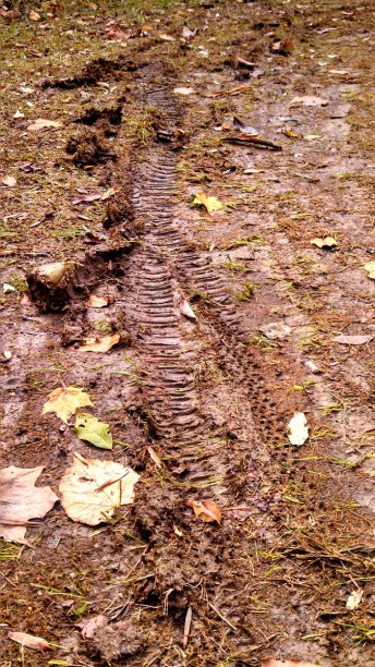 Any two-wheeled athlete knows what these scratch marks in the mud mean.