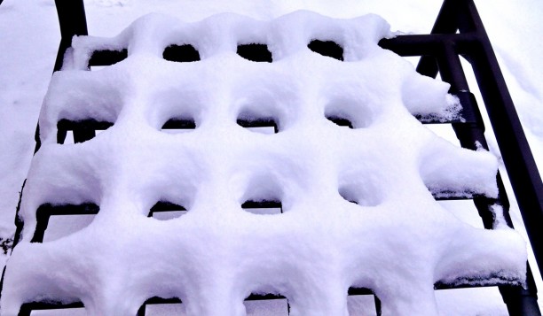 Ooo! Snow waffles!